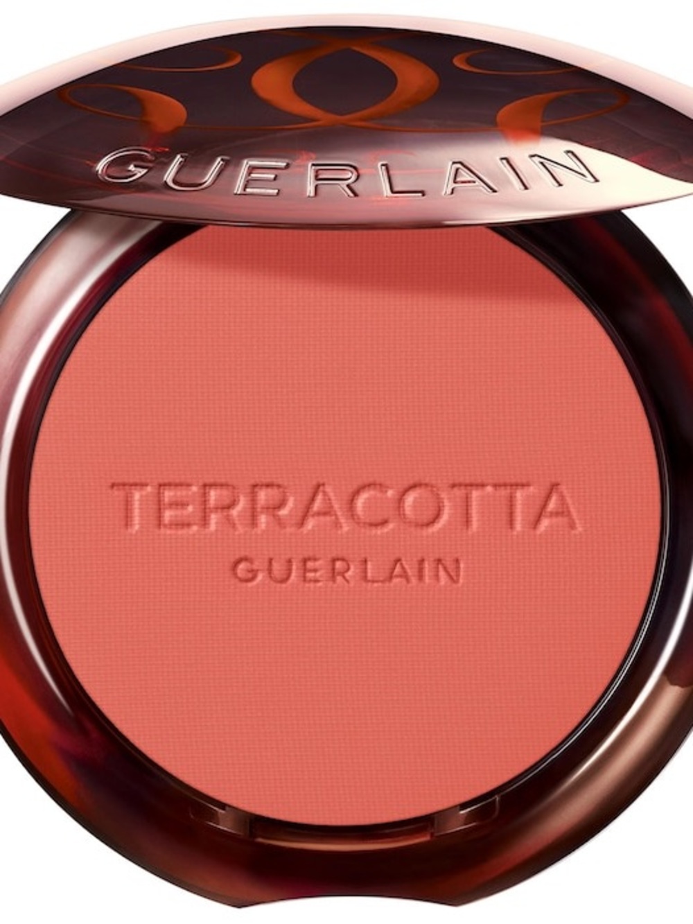 Guerlain Terracotta Healthy Glow Powder Blush